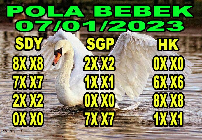 POLA%20BEBEK-Recovered.jpg