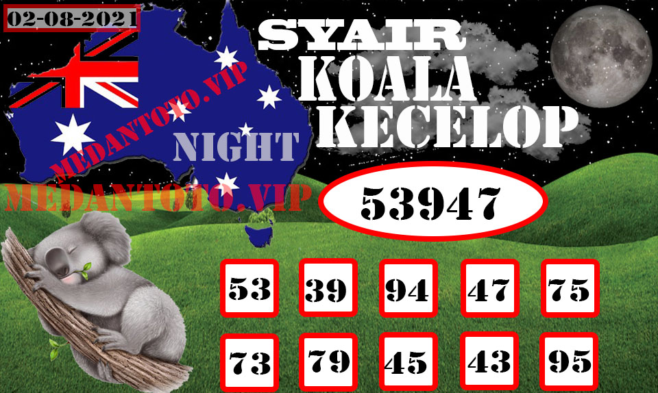 SYAIR%20KOALA%20KECELOP.jpeg