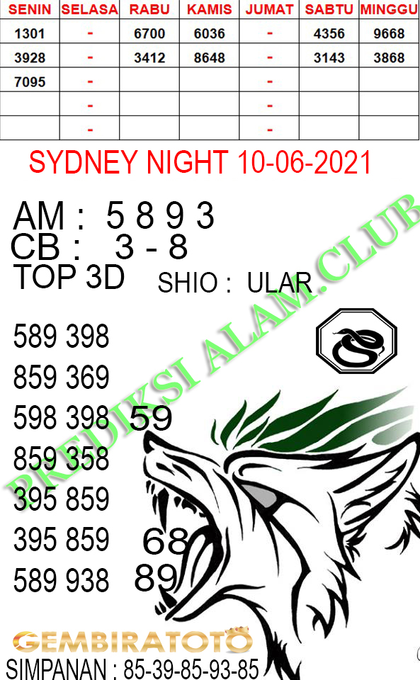 syair%20sydneynight%202.jpg