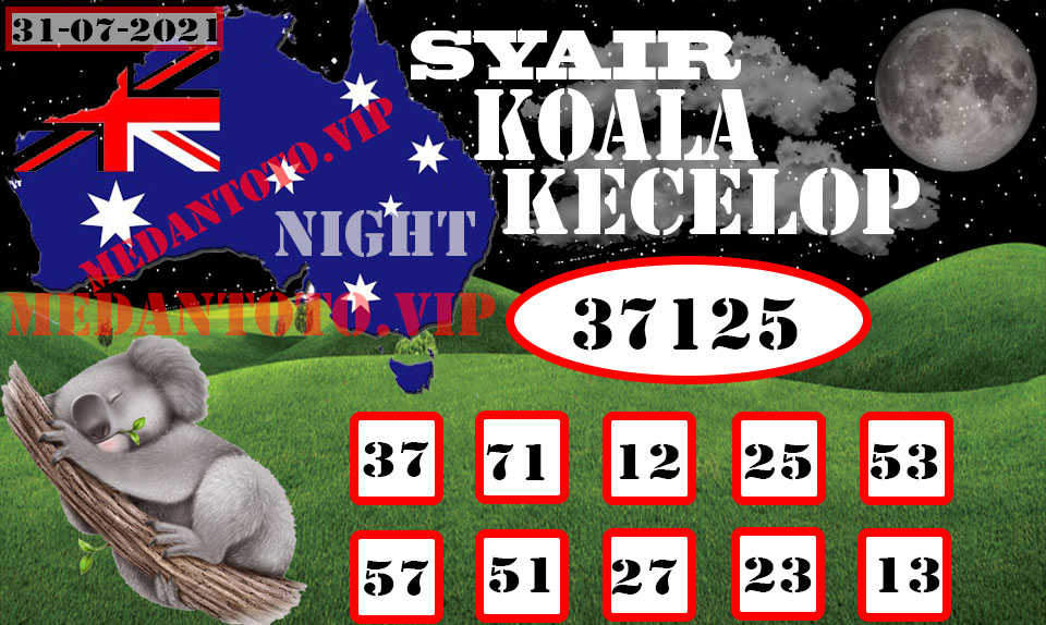 SYAIR%20KOALA%20KECELOP.jpeg