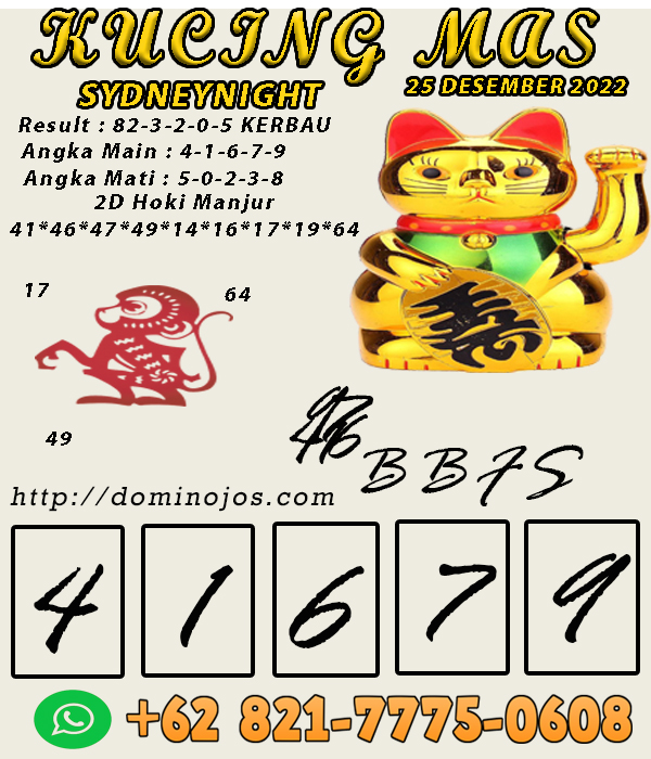 SDYNIGHT.jpg