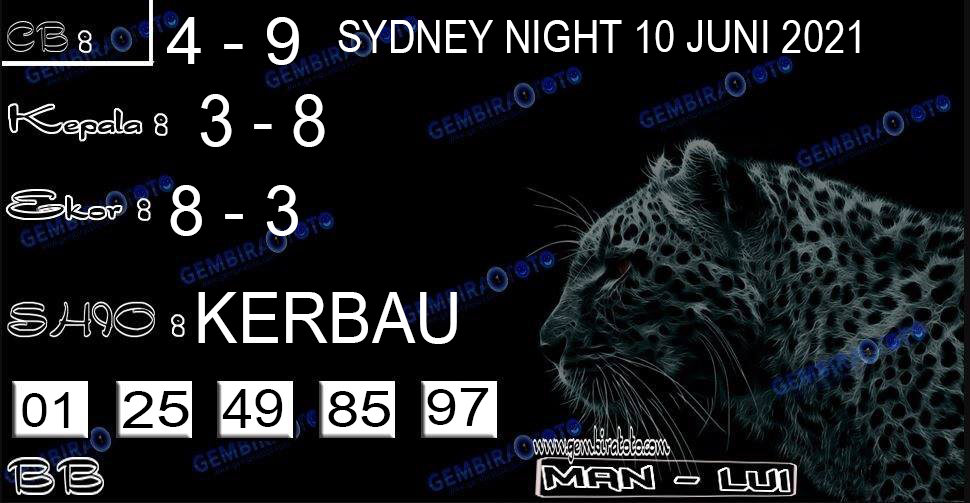 syair%20sydneynight%201.jpg