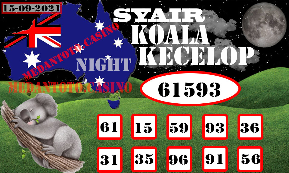 SYAIR%20KOALA%20KECELOP.jpeg