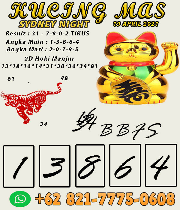 SYAIR-SYDNEY%20NIGHT%281%29.jpg
