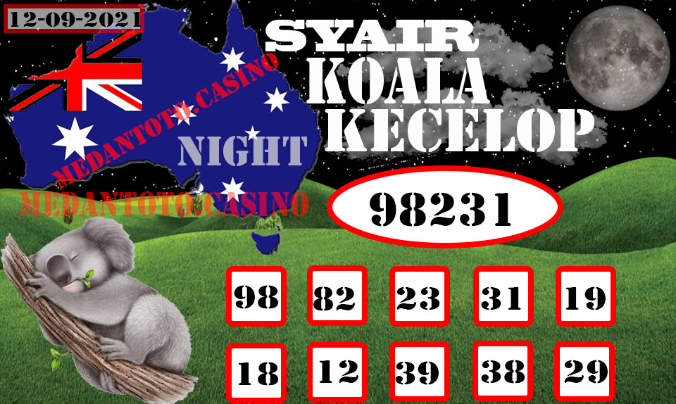 SYAIR%20KOALA%20KECELOP.jpeg