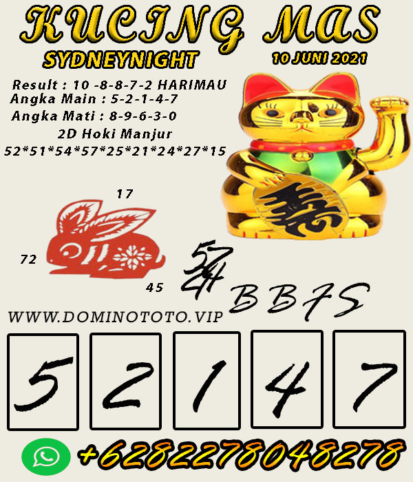 SYAIR%20sdynight.jpg