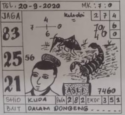 sg7.jpg