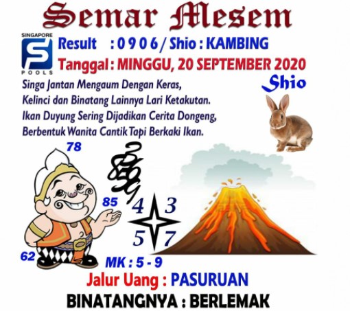 sg4.jpg