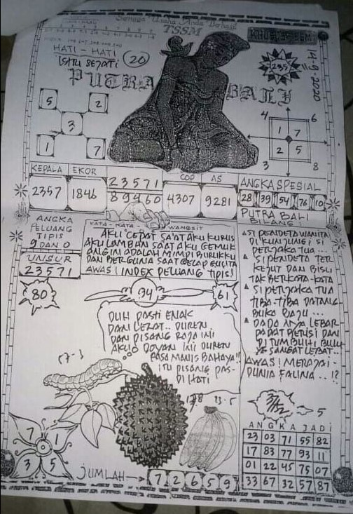 sg7.jpg
