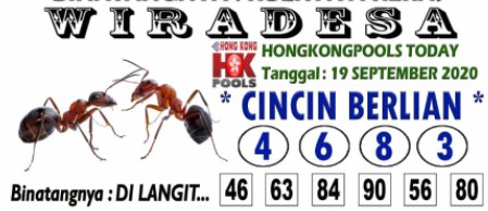 hk5.jpg