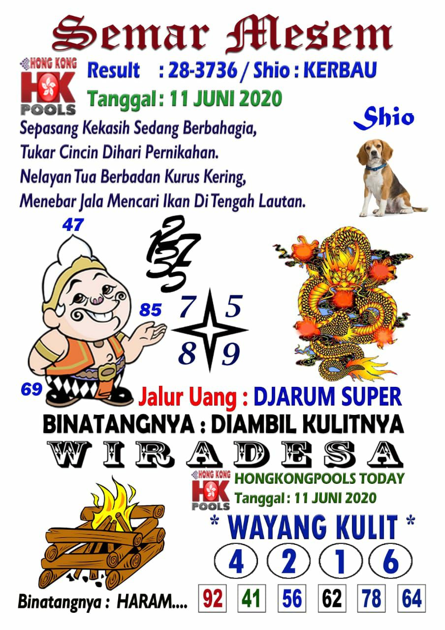5faf373a-74d0-4d13-9f2c-2b334c9f858a.jpg