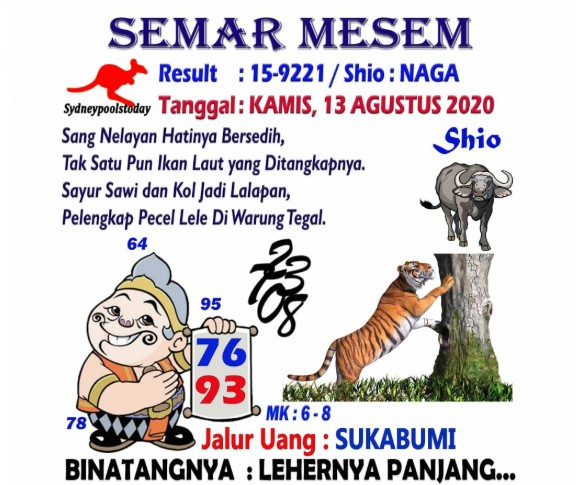 sd5.jpg
