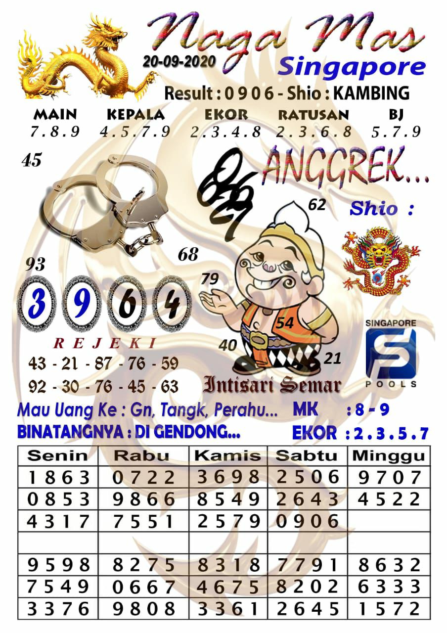 sg2.jpg