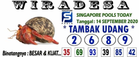 sg5.jpg