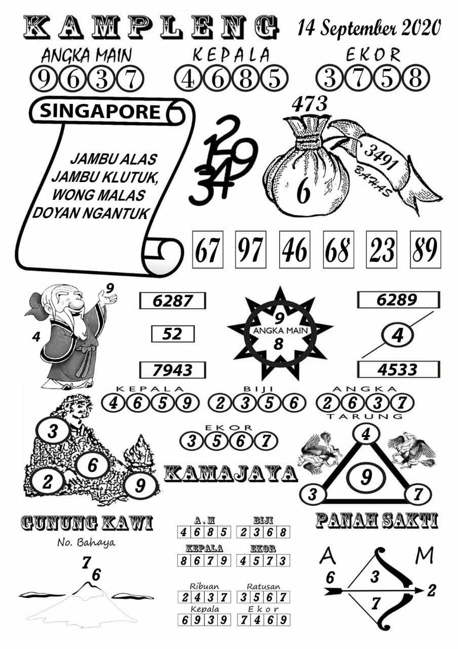 sg3.jpg