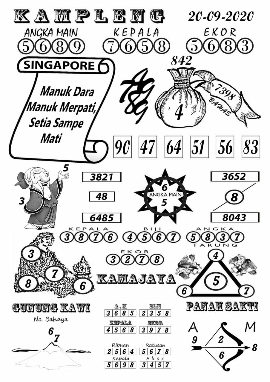 sg3.jpg