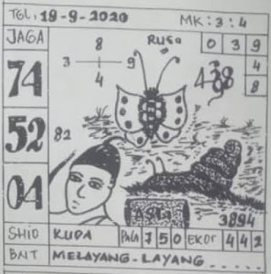 sg6.jpg