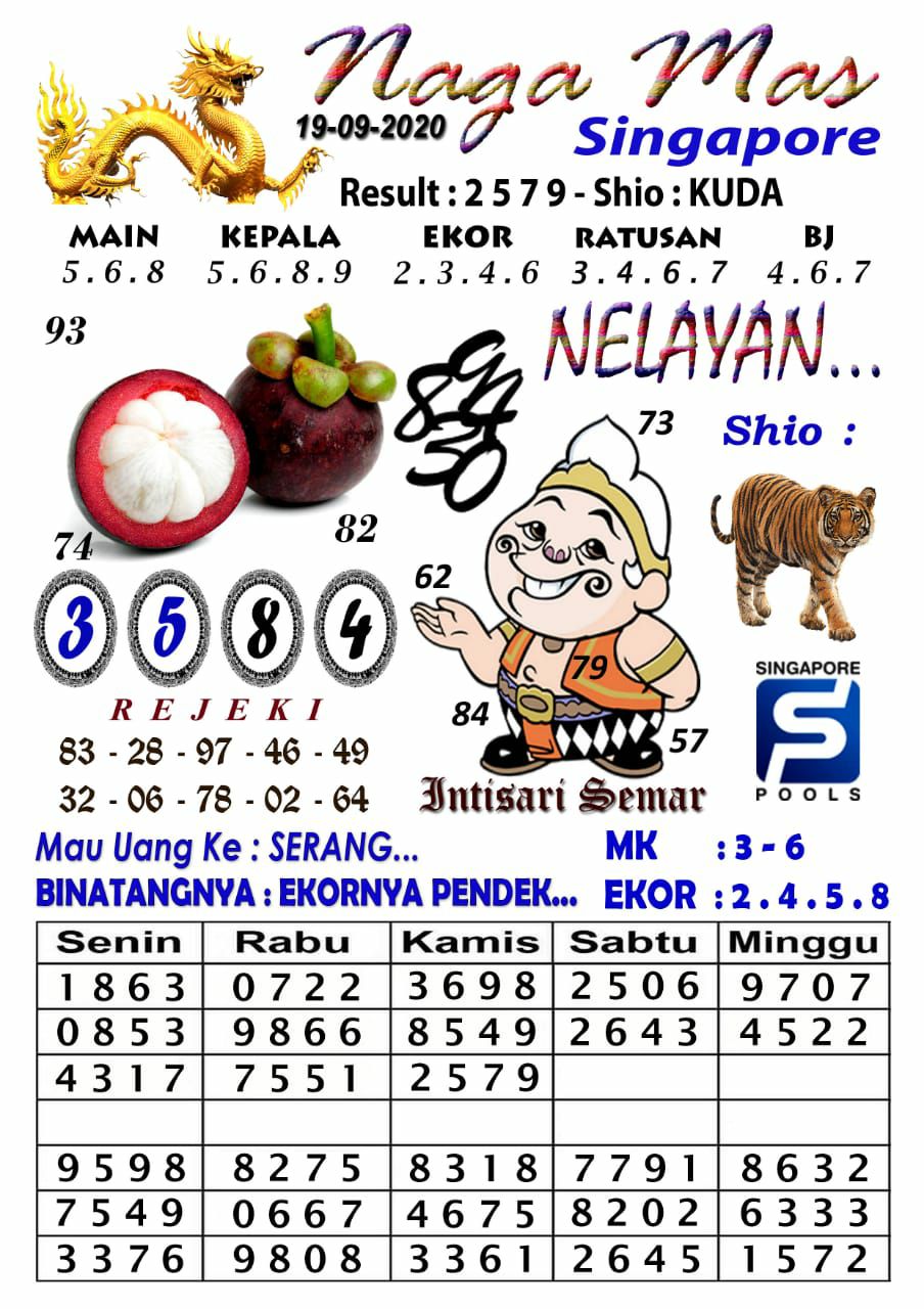 sg2.jpg
