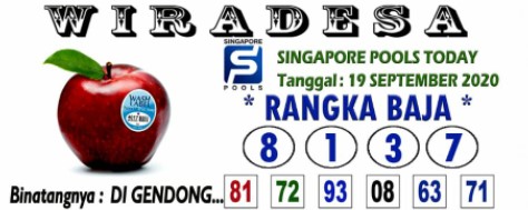 sg5.jpg