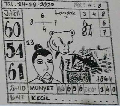 sg6.jpg