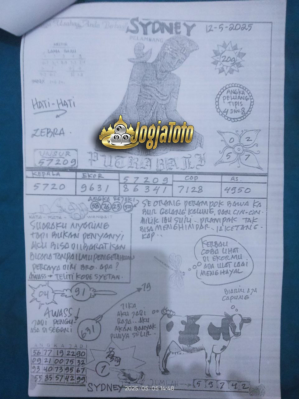 SDY%2012.jpg