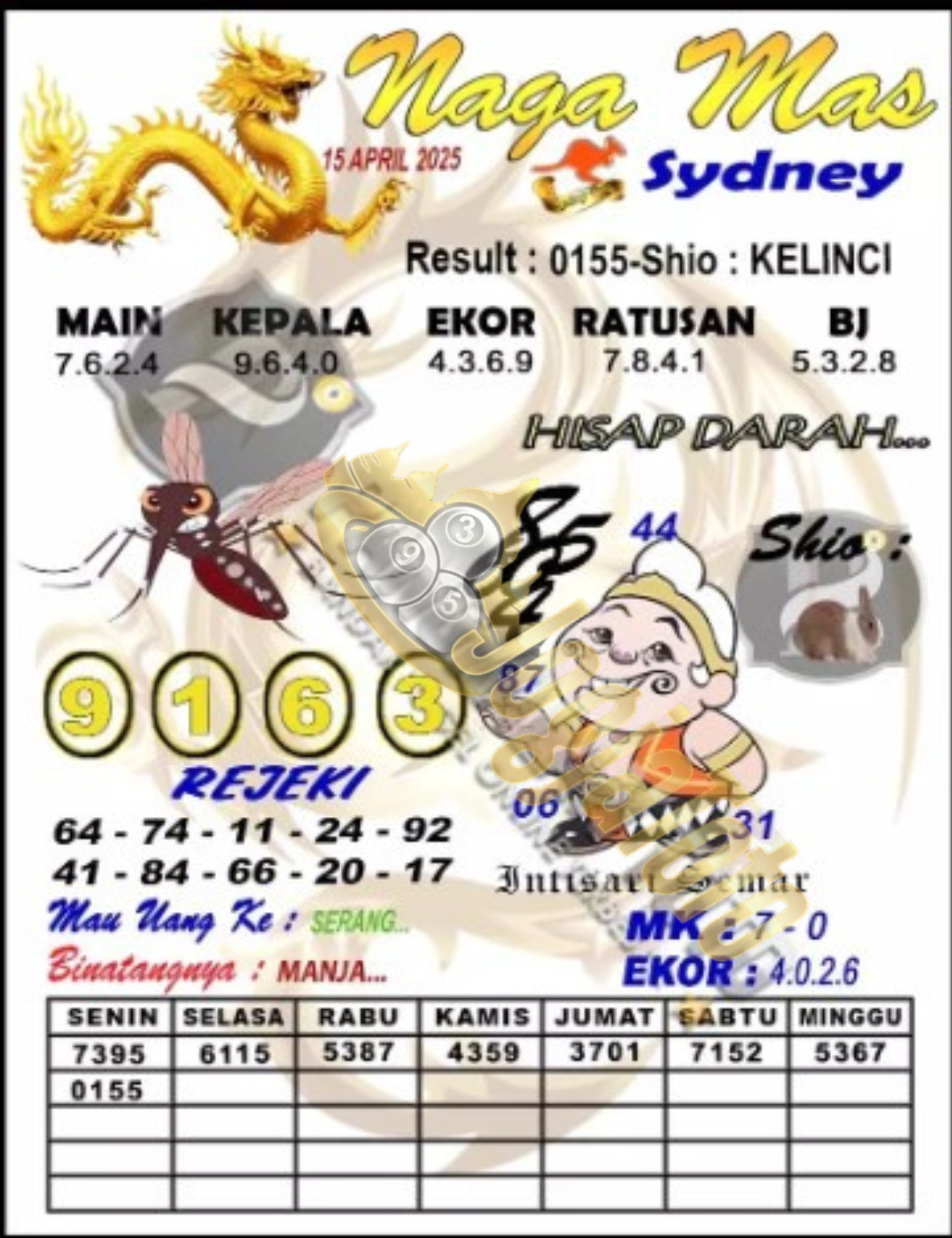 sdy1.png