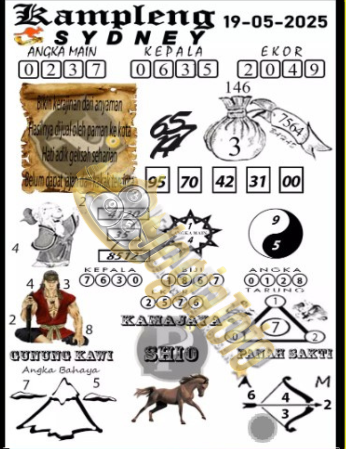 sdy4.png