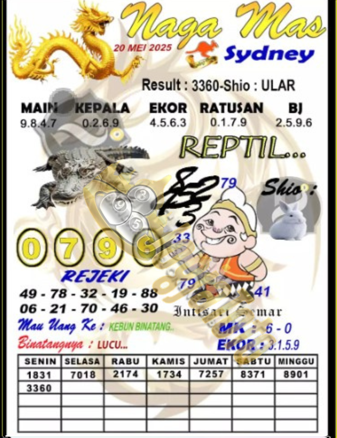 sdy1.png