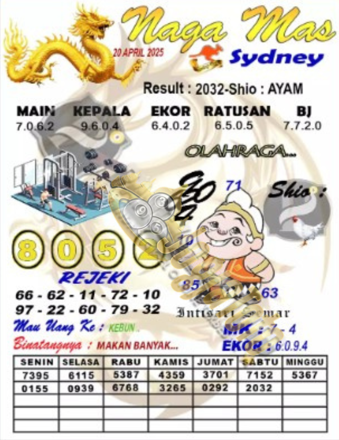 sdy1.png
