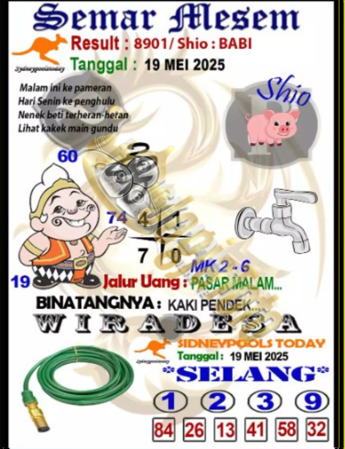 sdy2.png
