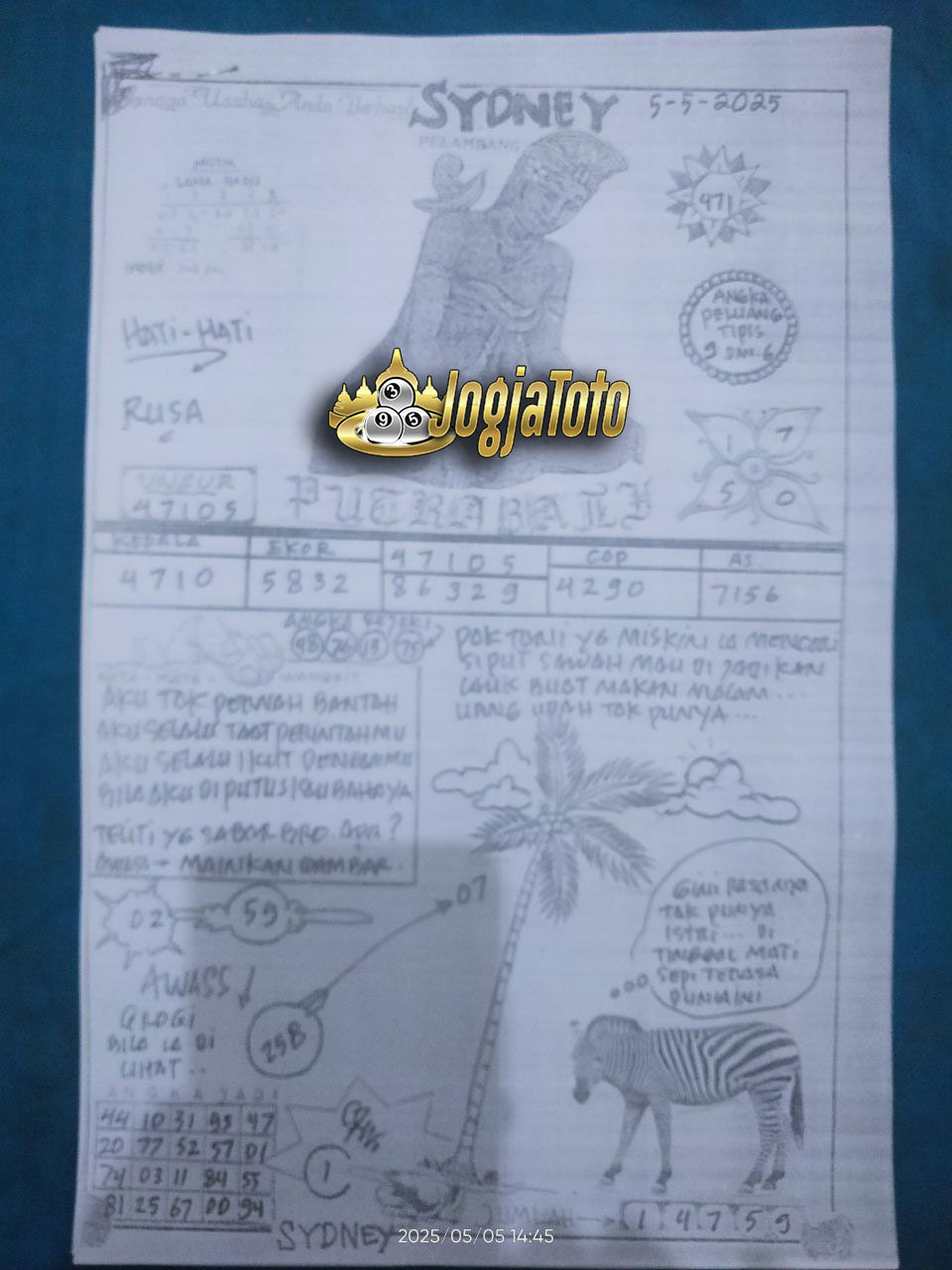 SDY%2005.jpg