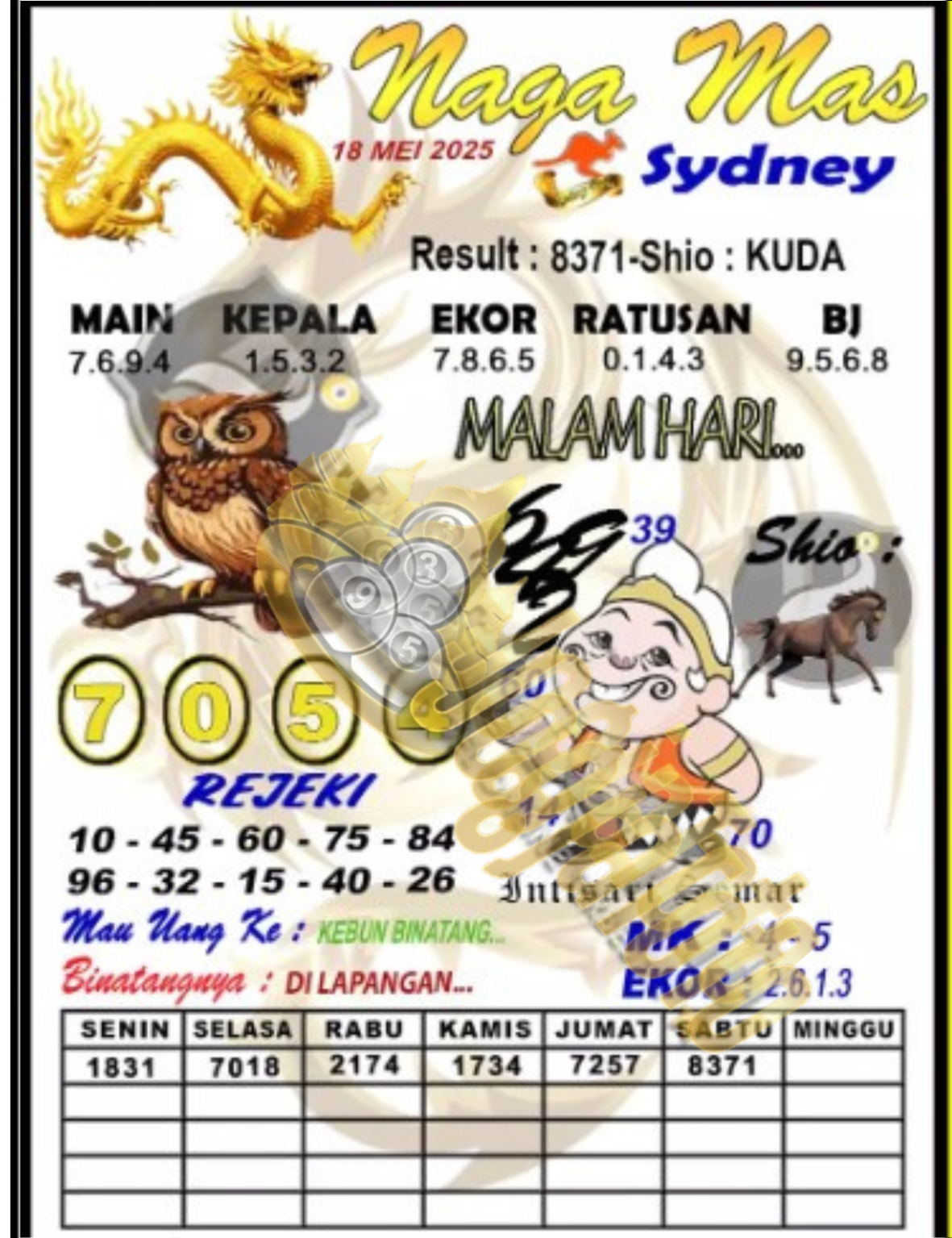 sdy1.png