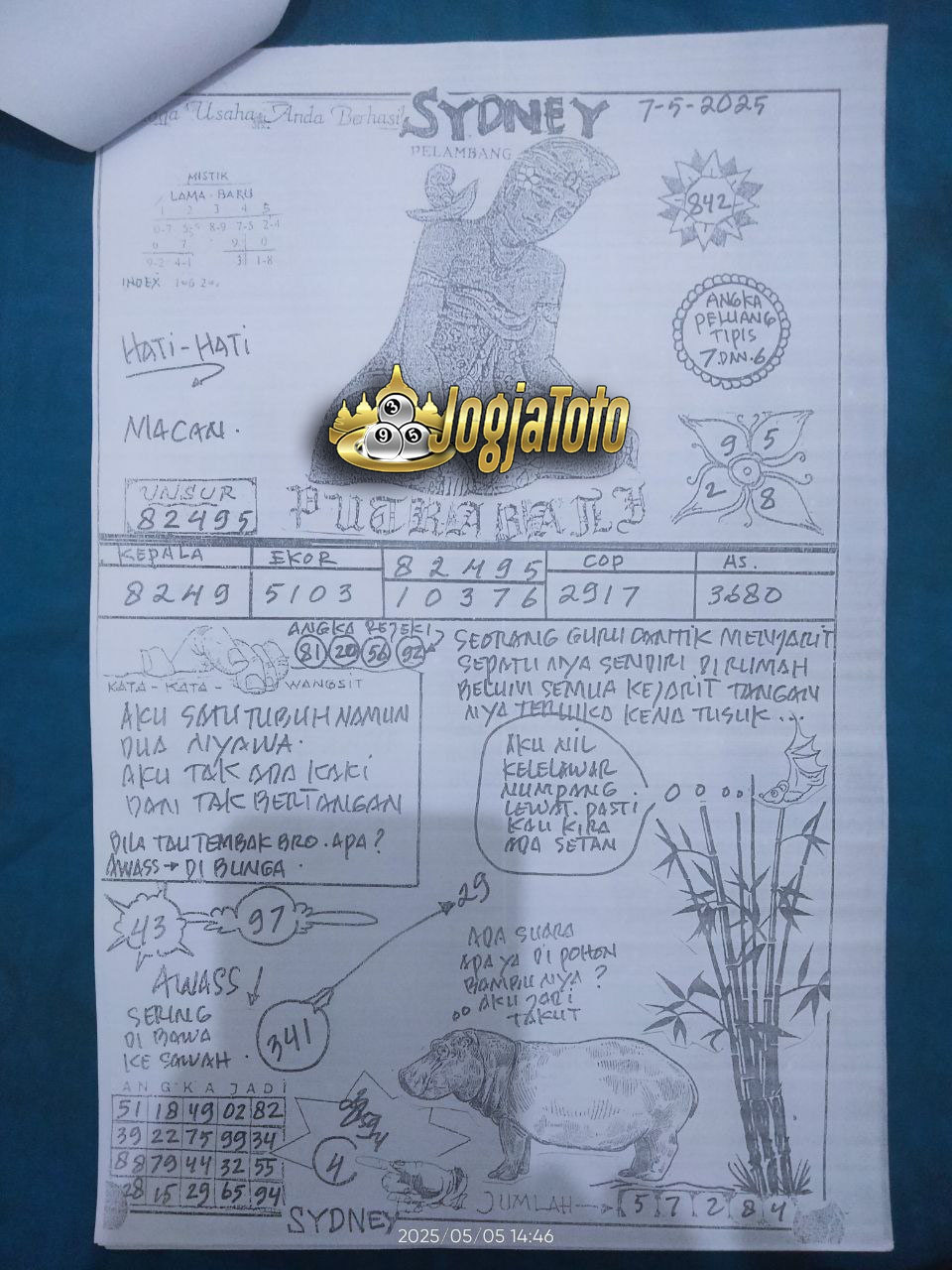 SDY%2007.jpg