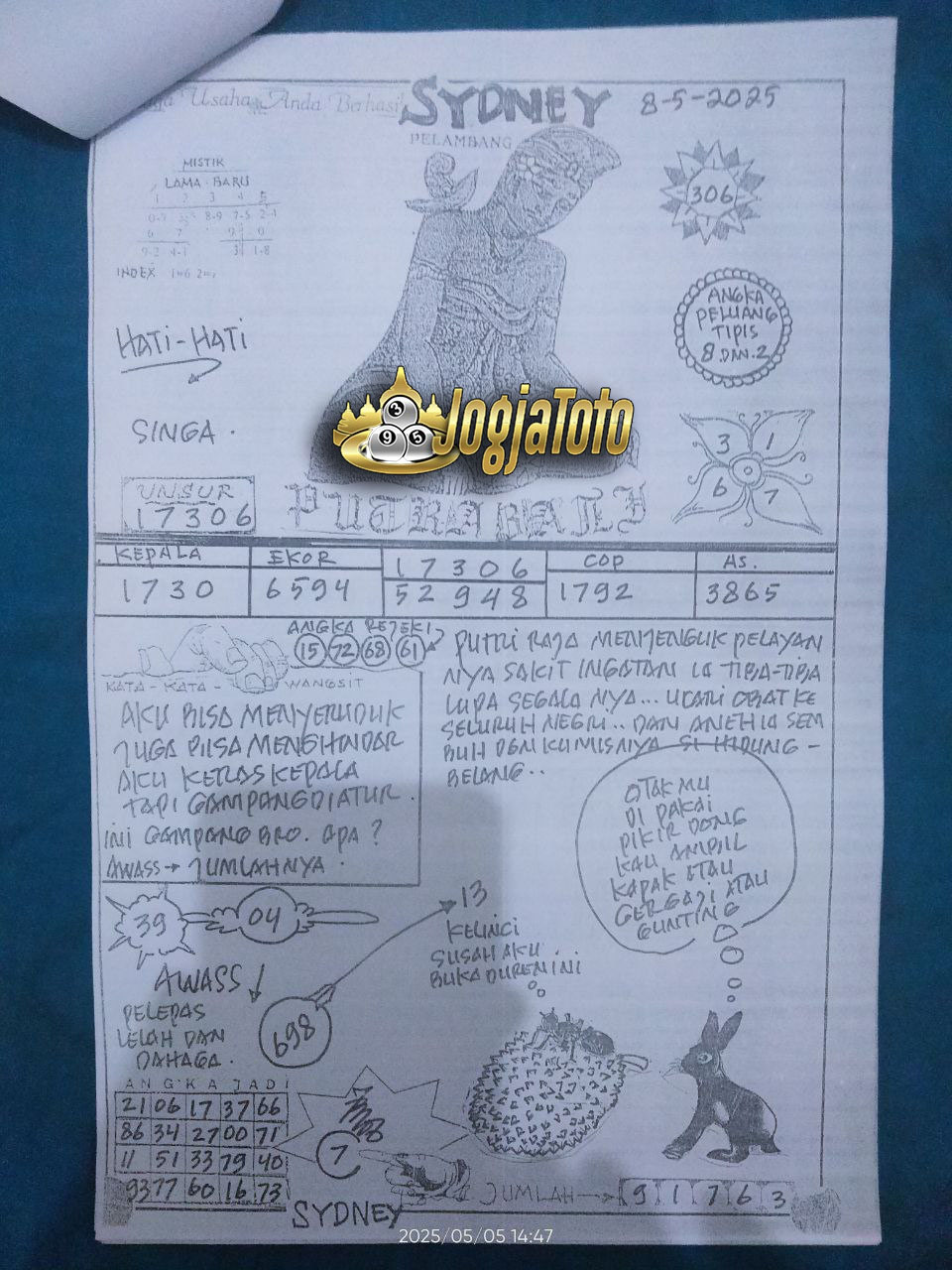 SDY%2008.jpg