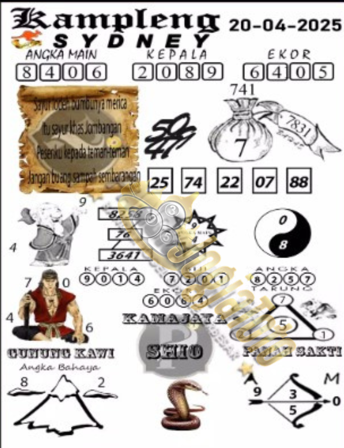 sdy4.png