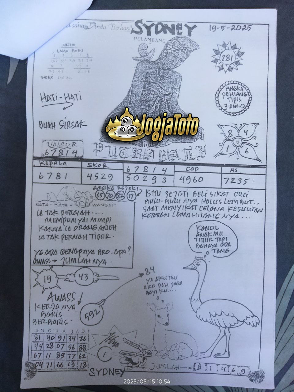 SDY%2019.jpg