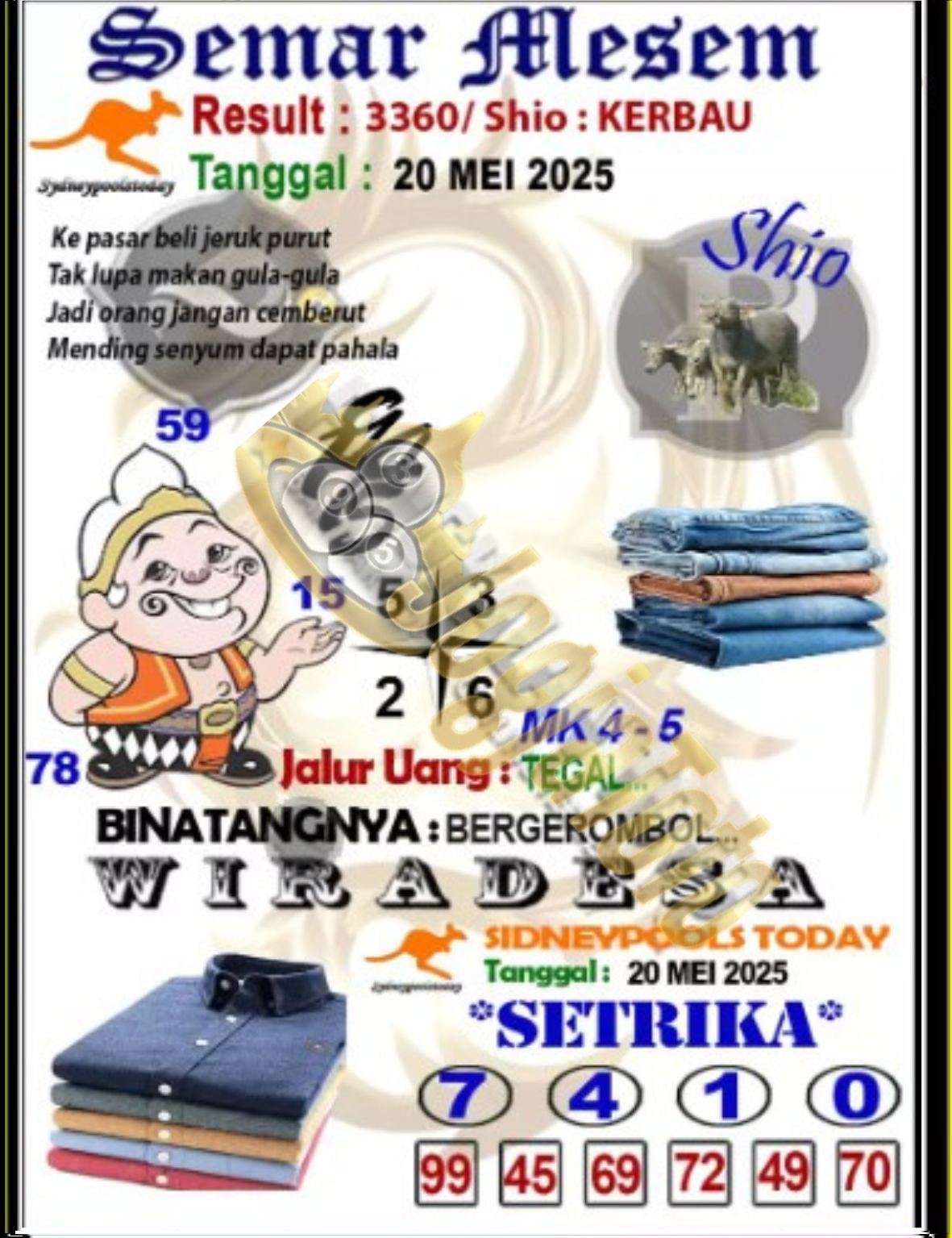sdy2.png