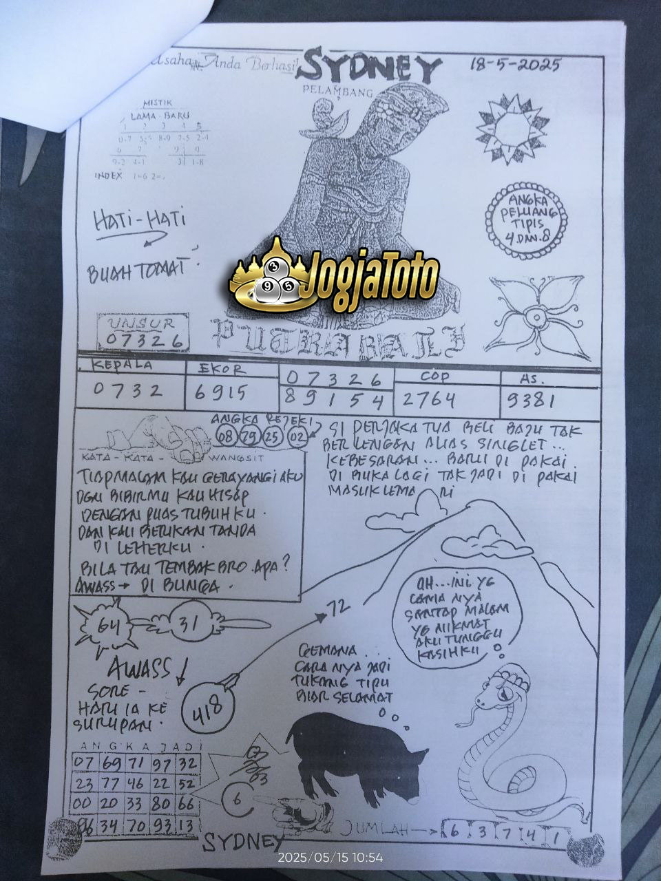 SDY%2018.jpg