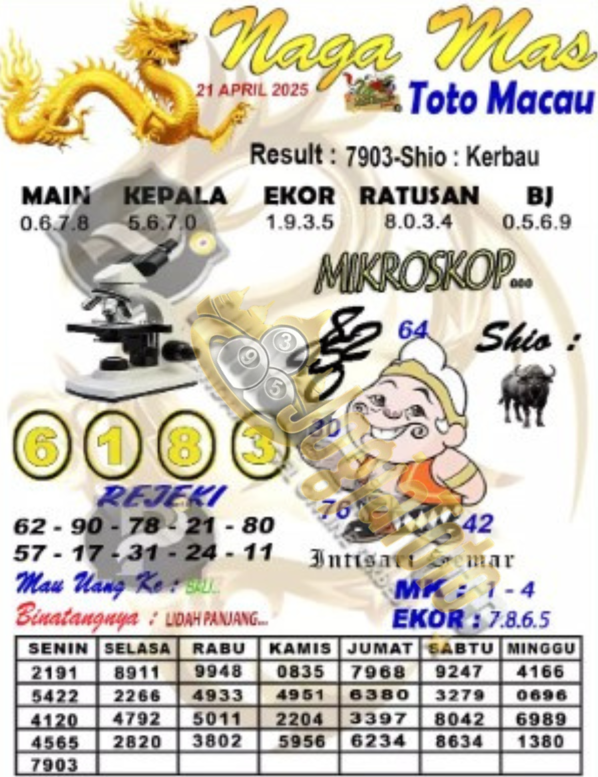 MACAU1.png