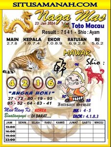 ttm 1.jpg