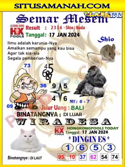 HK%203.jpg