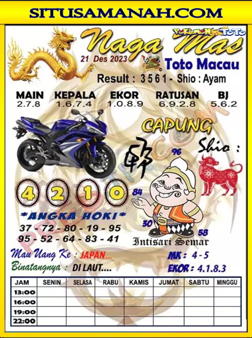 TTM1.jpg