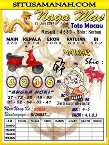ttm 1.jpg