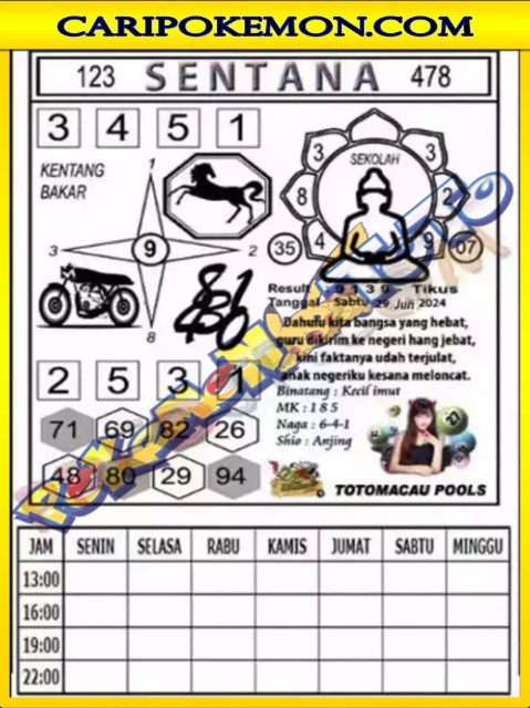 TTM3.jpg