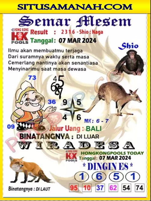 hk3.jpg