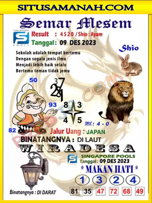 SPG%202.jpg