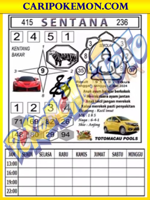 TTM3.jpg