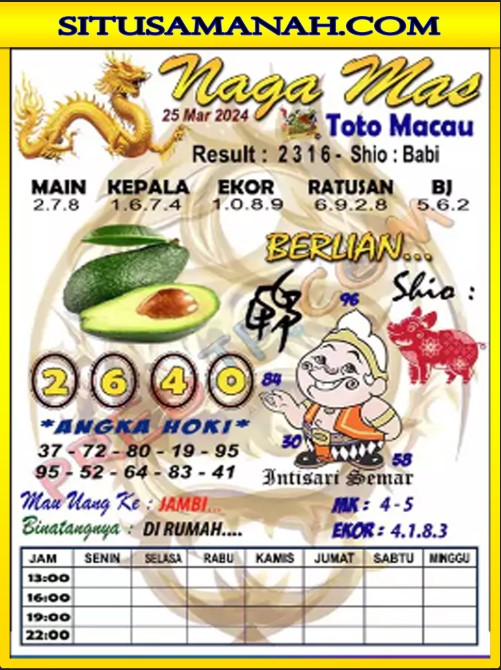 TTM1.jpg
