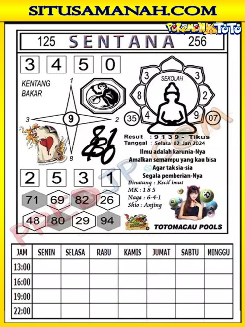 TTM3.jpg
