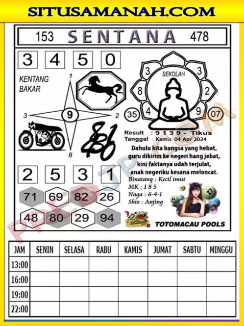TTM3.jpg